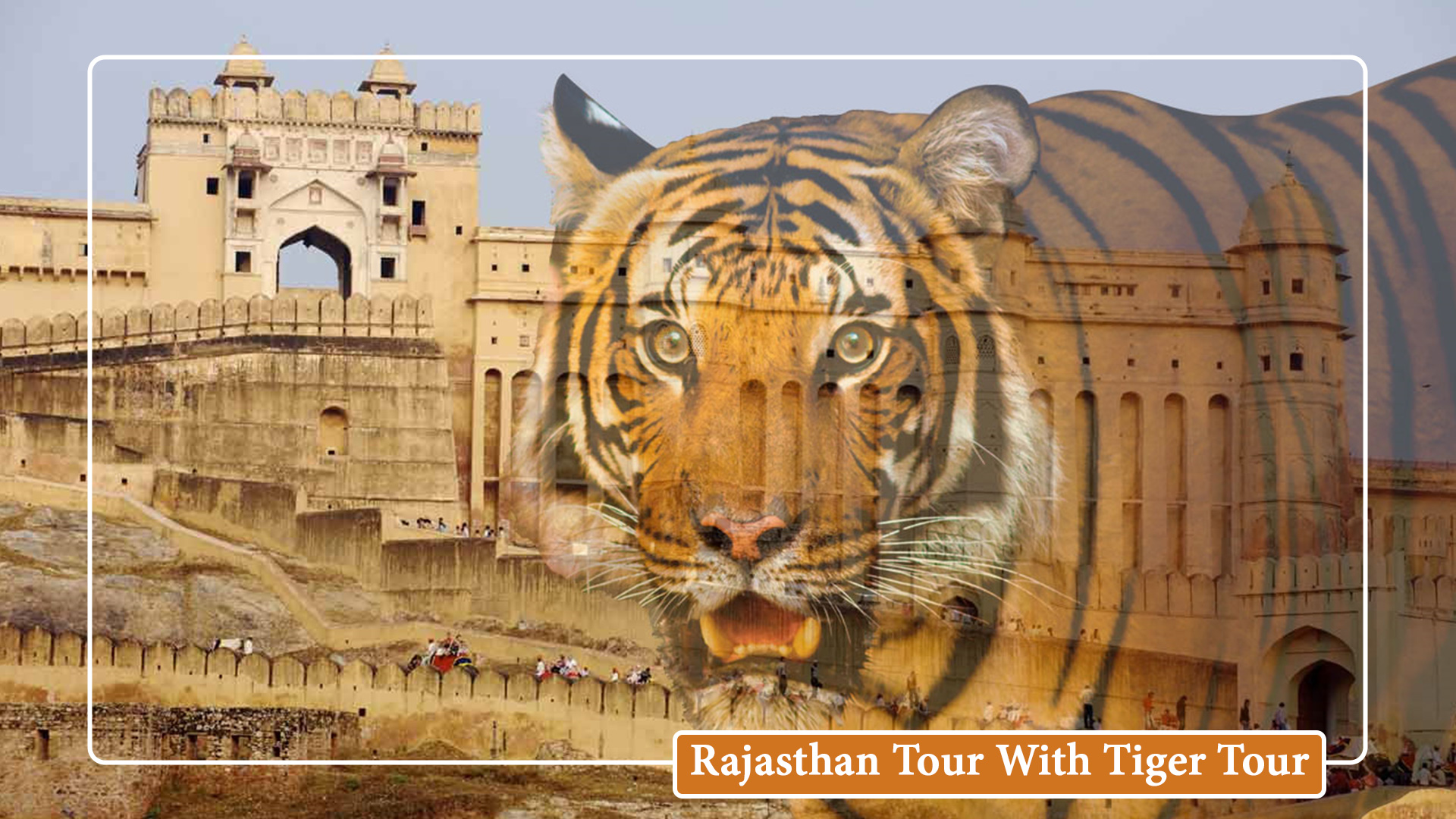 Rajasthan Wildlife Tiger Tour Package